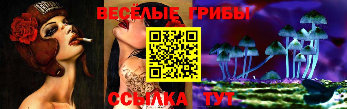 что такое наркотик  Галлюциногенные грибы прущие грибы  Псилоцибиновые грибы прущие грибы  Вход с VPN  Муром 